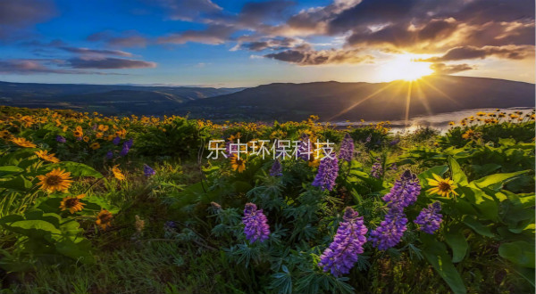 污水處理廠活性污泥法日常管理中，需要監(jiān)測(cè)與注意的參數(shù)-樂中環(huán)保