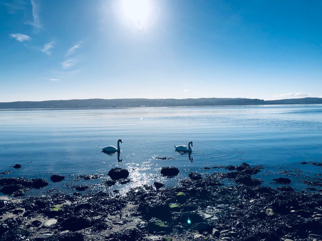 養(yǎng)殖廢水如何處理-污水處理設備-青島樂中環(huán)?？萍加邢薰? /> 
	</p>
<p style=