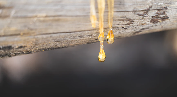 合成樹(shù)脂化工廠(chǎng)污水處理方法及原理分析-樂(lè)中環(huán)保