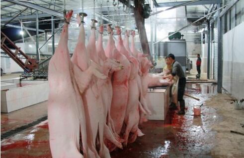 屠宰廢水處理方法有哪些？屠宰廢水處理設(shè)備價(jià)格？-01