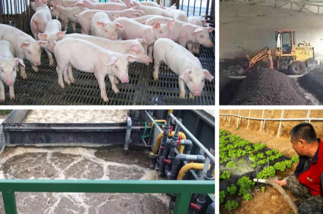 養(yǎng)殖污水處理一體設(shè)備多少錢？養(yǎng)殖污水處理方法