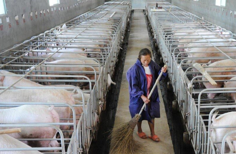 畜牧污水處理設(shè)備哪家好，養(yǎng)殖污水處理設(shè)備哪家好