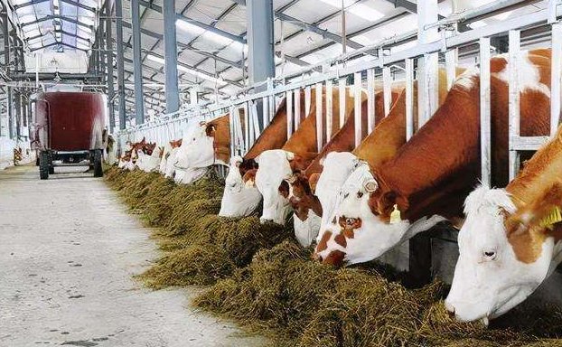 養(yǎng)殖污水處理設(shè)備的如何調(diào)試才能保障正常運行？02