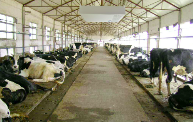 養(yǎng)殖屠宰污水處理設(shè)備使用前，要注意這兩點！01