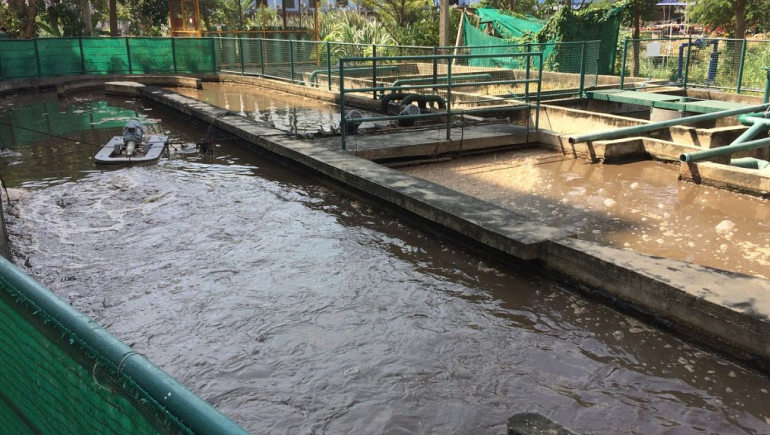 食品加工污水處理流程有哪些？如何更好的處理食品廢水？