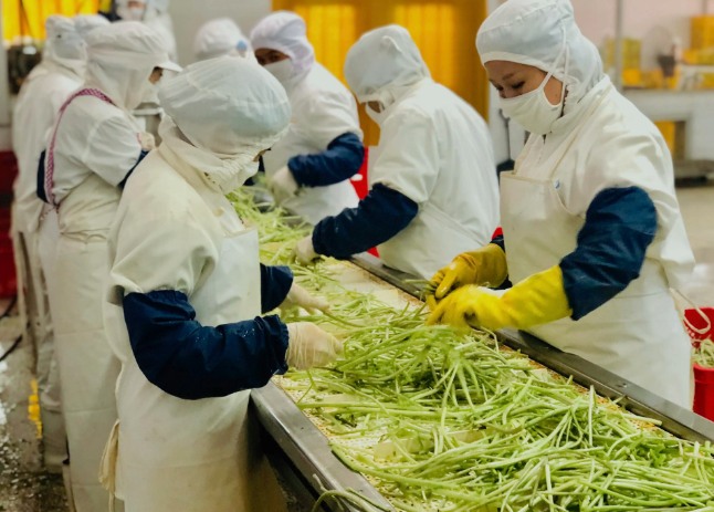 三種食品污水處理設(shè)備工藝流程，看看哪種適合您？