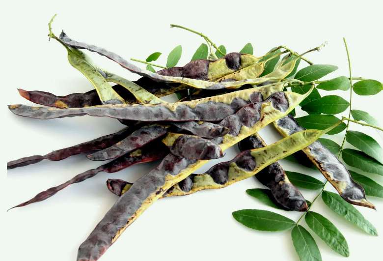 皂腳和皂角的區(qū)別是什么（皂腳和皂角一樣嗎？）