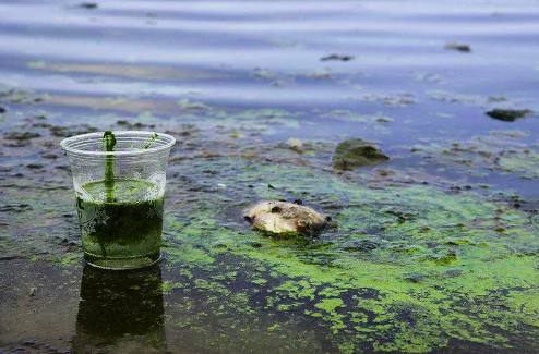 生活污水短程硝化(解釋短程硝化反應(yīng)) 生活污水短程硝化(解釋短程硝化反應(yīng))