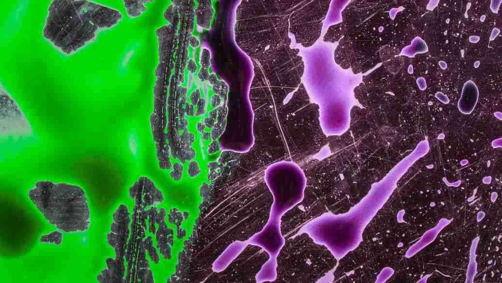 免疫熒光實驗原理及其步驟講解(免疫熒光實驗流程) 免疫熒光實驗原理及其步驟講解(免疫熒光實驗流程)